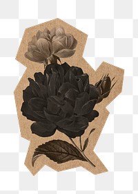 Black flower png, cut out paper element, transparent background