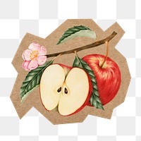 Red apple fruit png, cut out paper element, transparent background