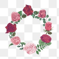 Rose png frame, transparent background