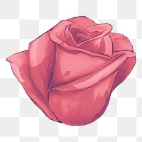 Red rose png illustration, transparent background