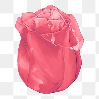 Red rose png illustration, transparent background