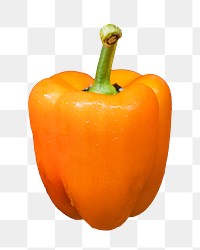 PNG orange bell pepper, collage element, transparent background