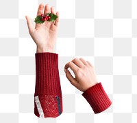 Hand holding png Christmas berry transparent background