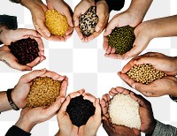 Hand holding png seeds transparent background