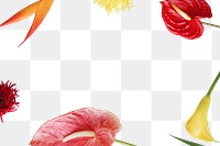 Flower frame png element, transparent background