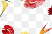 Flower frame png element, transparent background