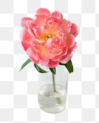 Vase png pink flower, transparent background