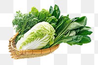 PNG Vegetables, collage element, transparent background