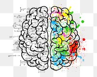 Png brain illustration, isolated image, transparent background