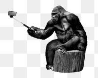 PNG Gorilla holding selfie stick, zoo animal, collage element on transparent background