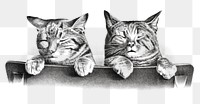 Sleepy cats png pet sticker, transparent background 