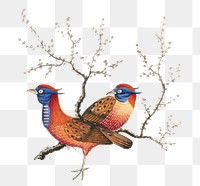 Two pheasant-like birds png sticker, vintage illustration, transparent background