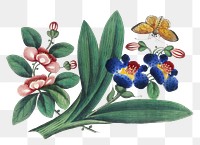 Flowers & butterfly png sticker, vintage botanical illustration, transparent background