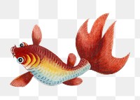 Png gold fish vintage illustration, transparent background