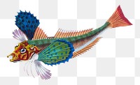 Sapphirine gurnard fish png sticker, transparent background