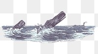 Png sperm whale attacking fishing boat sticker, transparent background