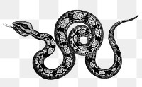 Constrictor boa png sticker, vintage illustration, transparent background