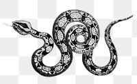 Constrictor boa png sticker, vintage illustration, transparent background