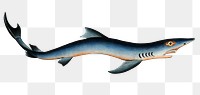 Blue Shark png sticker, fish vintage illustration, transparent background