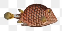Triangular-fish png sticker, fish vintage illustration, transparent background