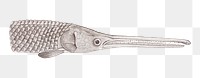 Png fish vintage illustration, transparent background