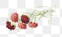 Flower png bouquet vintage illustration on transparent background