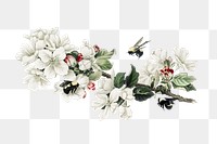 Png vintage apple blossom, transparent background