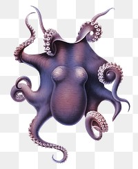 Purple octopus png vintage sticker, transparent background