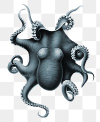 Octopus png vintage illustration sticker, transparent background