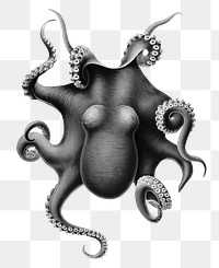 Vintage octopus png sticker, transparent background