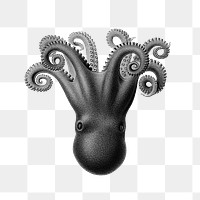 Png vintage small black octopus sticker, transparent background