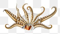 Octopus png vintage illustration, transparent background