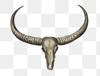 Buffalo skull png vintage sticker, transparent background