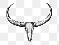 Buffalo skull png cowboy sticker, transparent background