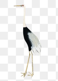 Png Japanese red crown crane sticker, transparent background