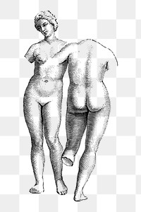 Nude woman png vintage illustration on transparent background, greek style