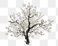 Apple blossom tree png watercolor illustration element, transparent background. Remixed from vintage artwork by rawpixel.