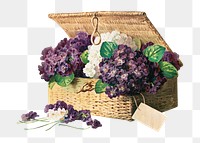 Invoice of violets png, vintage purple flower basket illustration by Paul de Longpré, transparent background. Remixed by rawpixel.