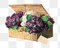 Invoice of violets png, vintage purple flower basket illustration by Paul de Longpré, transparent background. Remixed by rawpixel.
