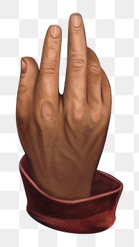 Businessman's hand png, vintage gesture illustration, transparent background. Remixed by rawpixel.