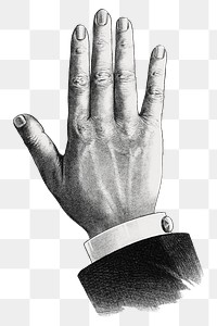 Businessman's hand png, vintage gesture illustration, transparent background. Remixed by rawpixel.