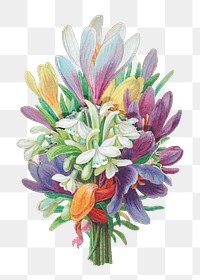 Colorful flower bouquet png, vintage botanical illustration, transparent background. Remixed by rawpixel.