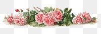 La France roses png, vintage flower illustration by Paul de Longpre, transparent background. Remixed by rawpixel.