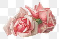 French rose png, vintage flower illustration by Paul de Longpre, transparent background. Remixed by rawpixel.