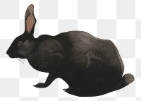 A Black Rabbit png, vintage animal illustration by Joseph Crawhall, transparent background. Remixed by rawpixel.