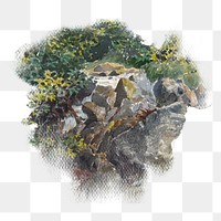 Forest brook png watercolor illustration element, transparent background. Remixed from Friedrich Carl von Scheidlin artwork, by rawpixel.