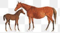 Mare & foal png watercolor illustration element, transparent background. Remixed from Sawrey Gilpin artwork, by rawpixel.