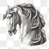 Horse head png watercolor illustration element, transparent background. Remixed from John Michael Rysbrack artwork, by rawpixel.