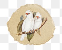 PNG Long-billed cockatoo bird illustration, ripped paper transparent background. Remixed by rawpixel.