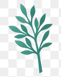 Green leaf png sticker, transparent background